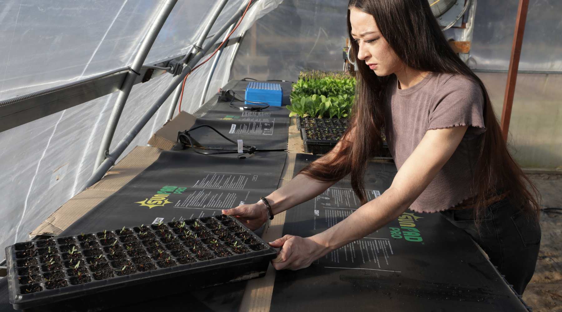 How to Use Heat Mats for Starting Seeds