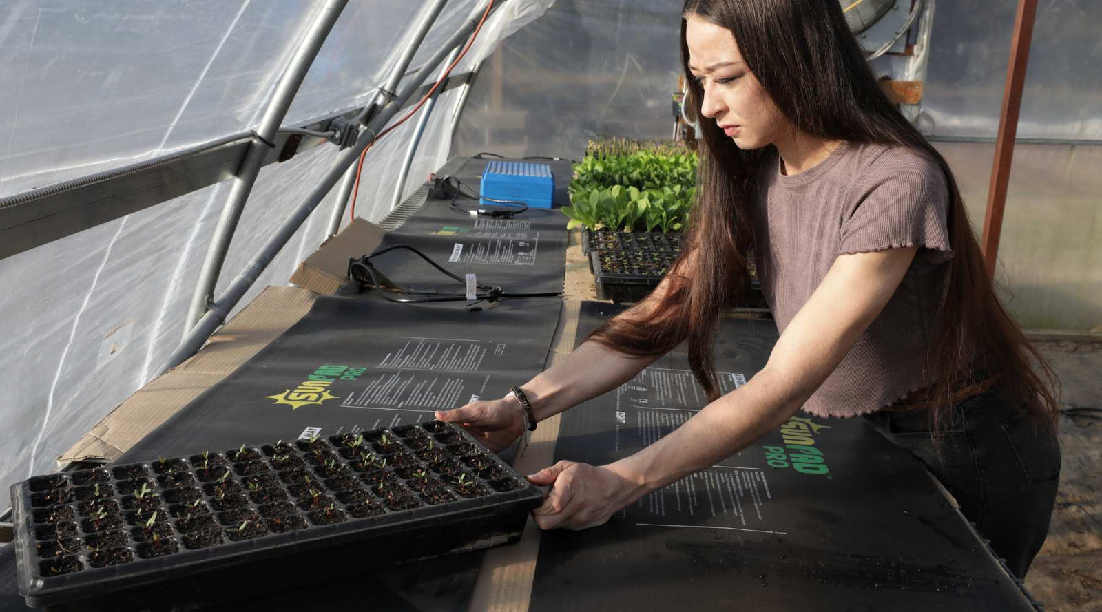 How To Use A Seedling Heat Mat The Right Way - Epic Gardening