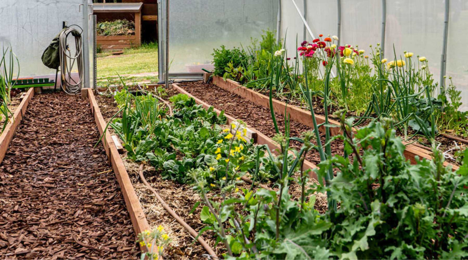 A Gothic Greenhouse With The Door Slightly Open And Raised Bed Gardens Filled With Muched 2688