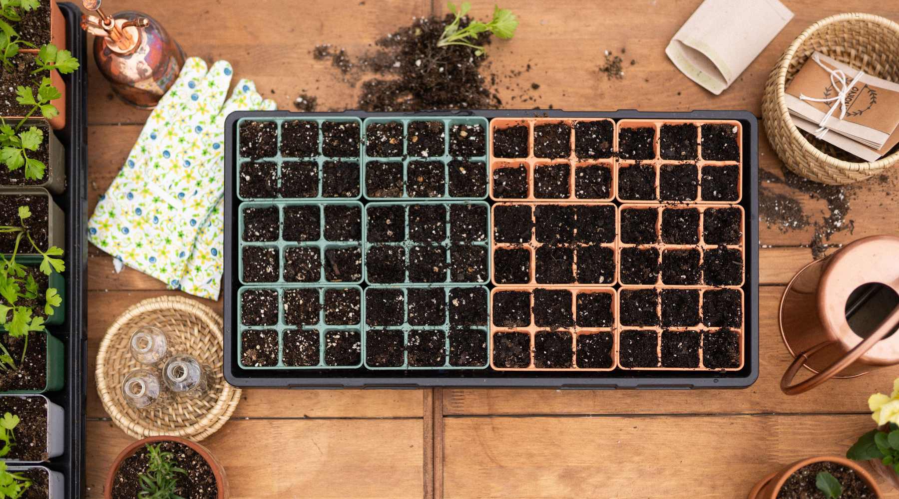 Earth tone seed starting trays and cups on wooden table with seed starting gear, seeds, and a watering can.