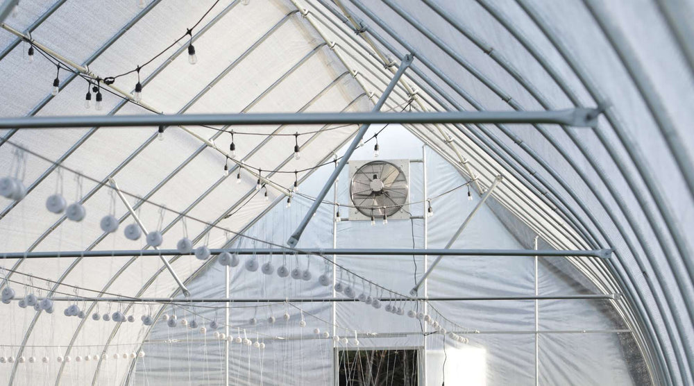 greenhouse-plastic-film-learn-how-to-attach-plastic-to-greenhouse