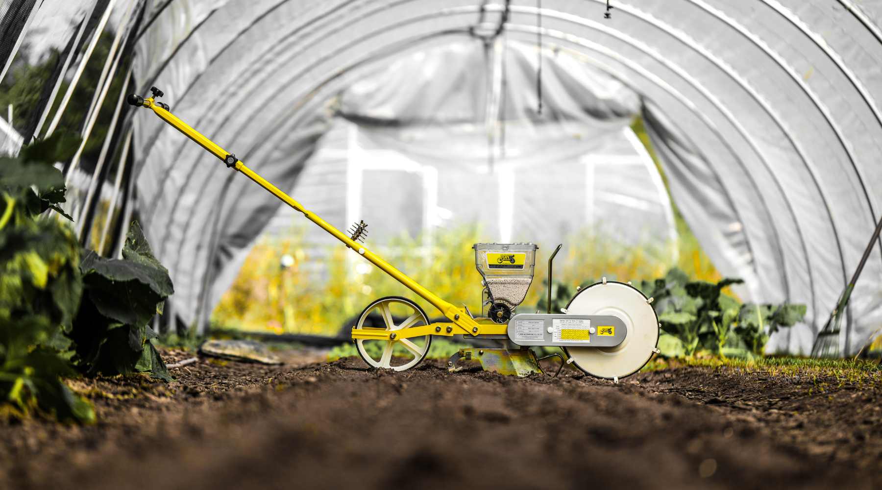 A JP-1 Jang seeder inside a caterpillar tunnel set up to seed rows of lettuce. 