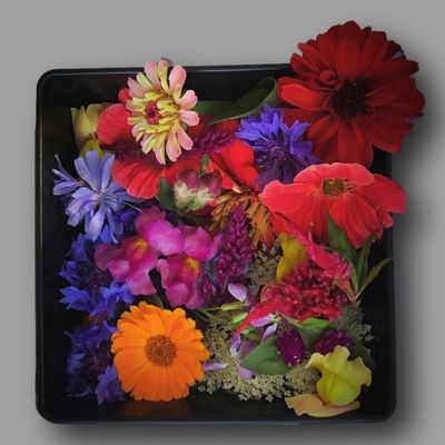 15 Best Edible Flowers for Baking, Cooking and Drinks - Article onThursd