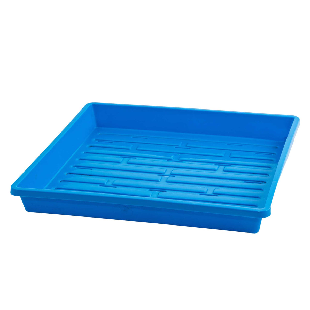 Microgreen Trays  Shop Shallow Trays for Microgreens - Bootstrap