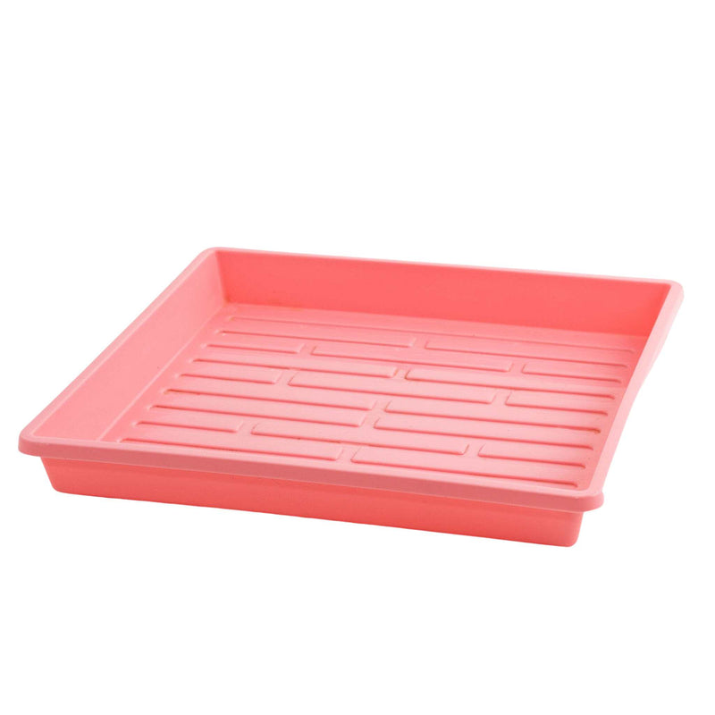 1010 Propagation Trays | Order Shallow 1010 Seed Trays Online ...