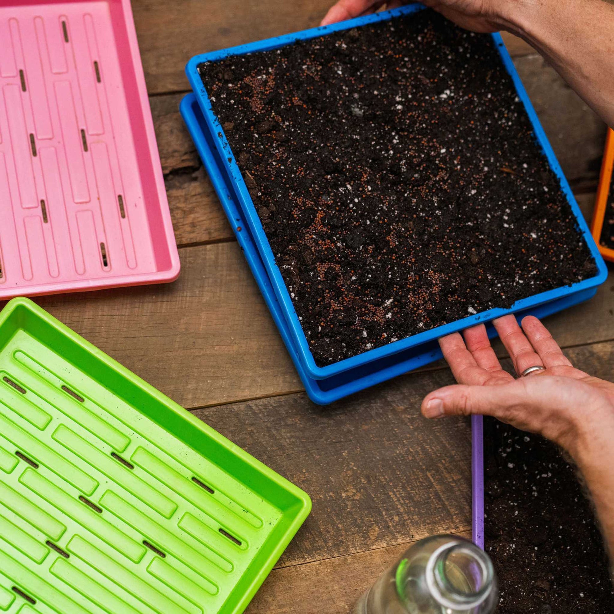 Planting into a 1010 shallow Microgreens Tray