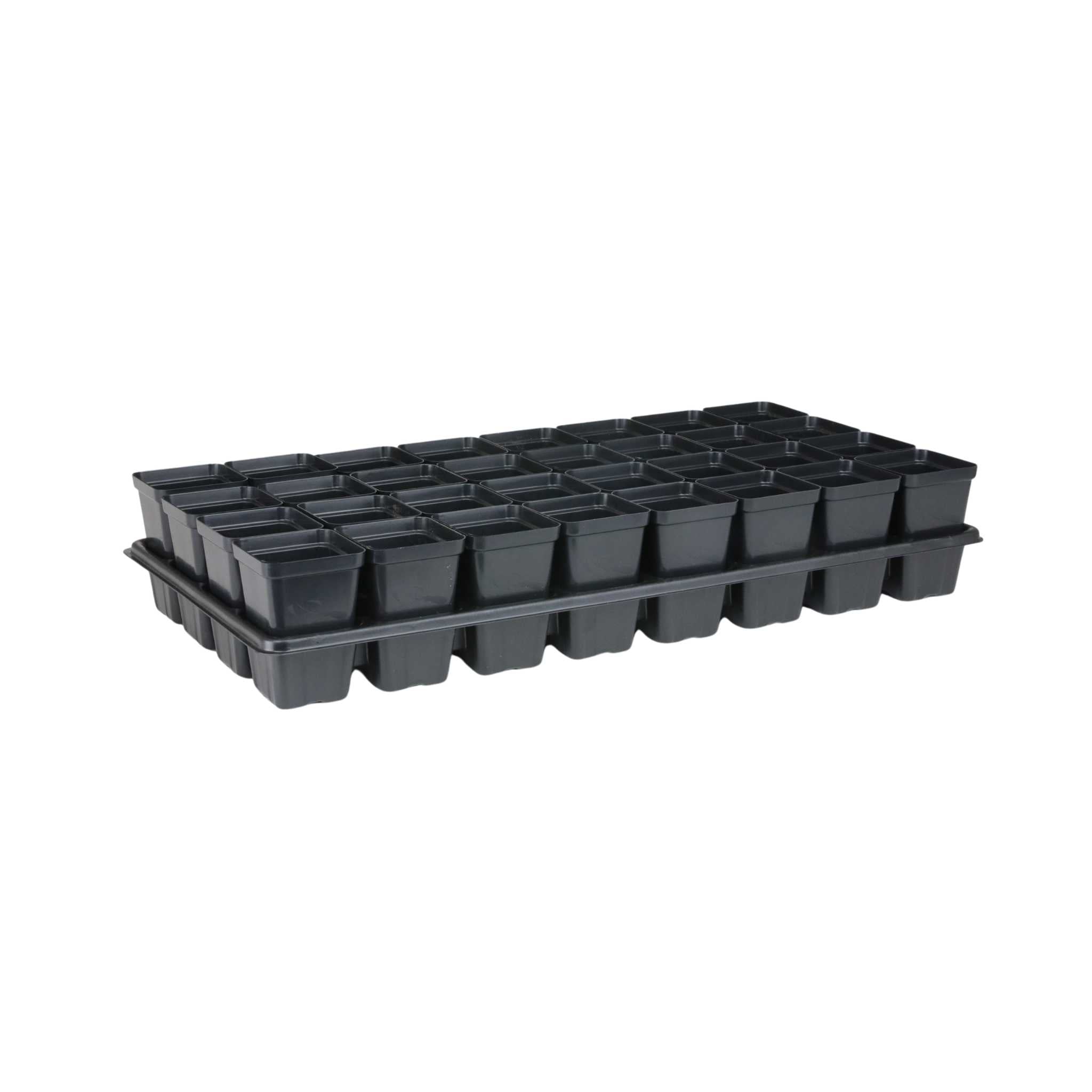 Where to on sale buy trays