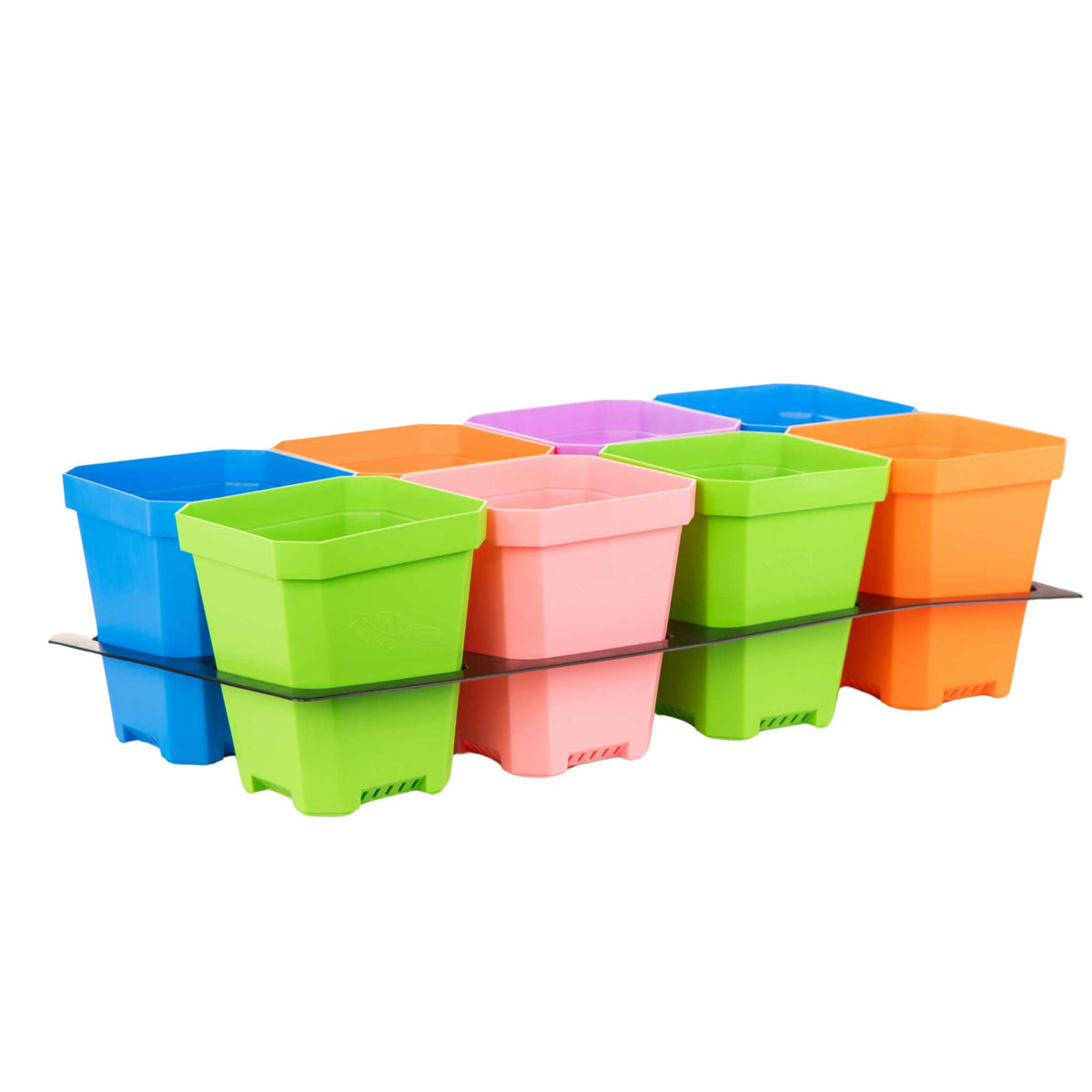 Multicolor 5&quot; pots with insert