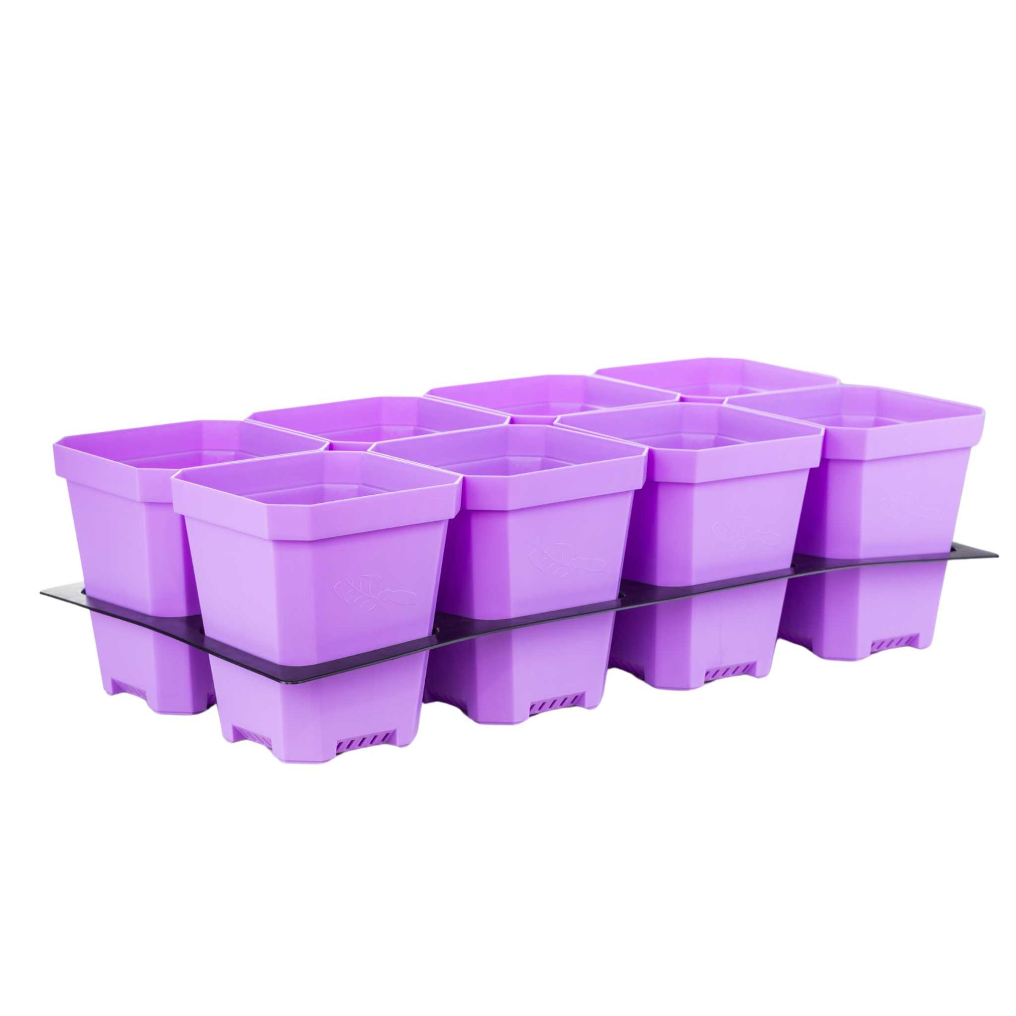 purple 5" pots with insert