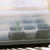 Assorted herbs propagated and rooting in propagation kit.
