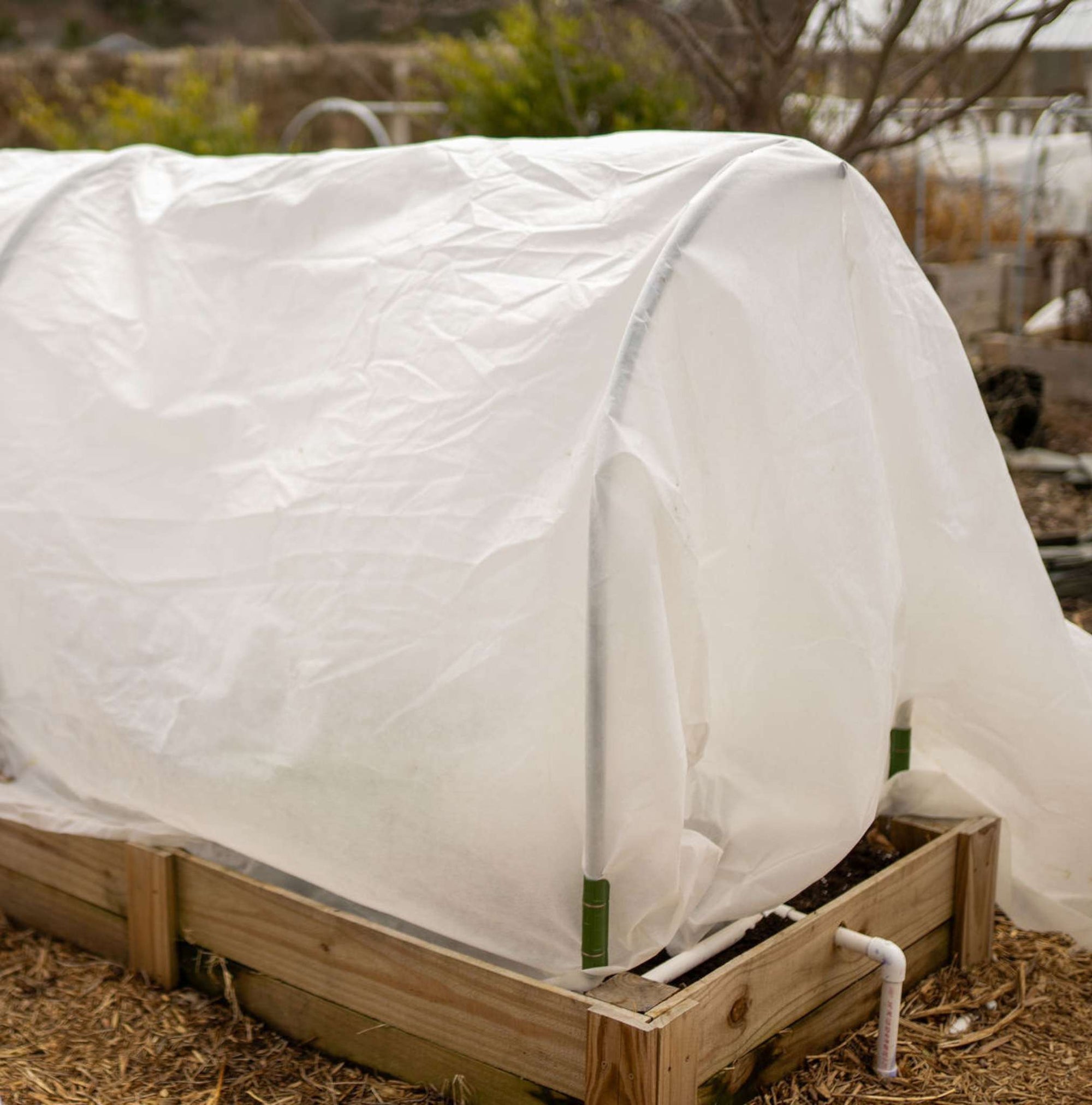 Frost Blanket over low tunnel