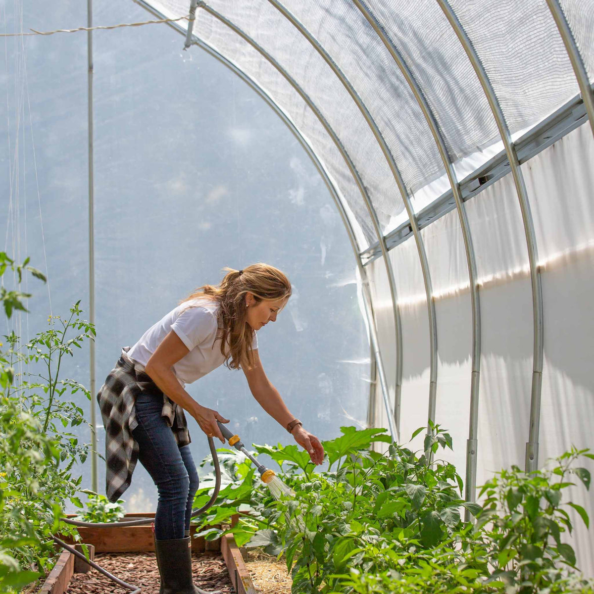How Greenhouse Growers Can Plan for Delays in the Supply Chain - Greenhouse  Grower