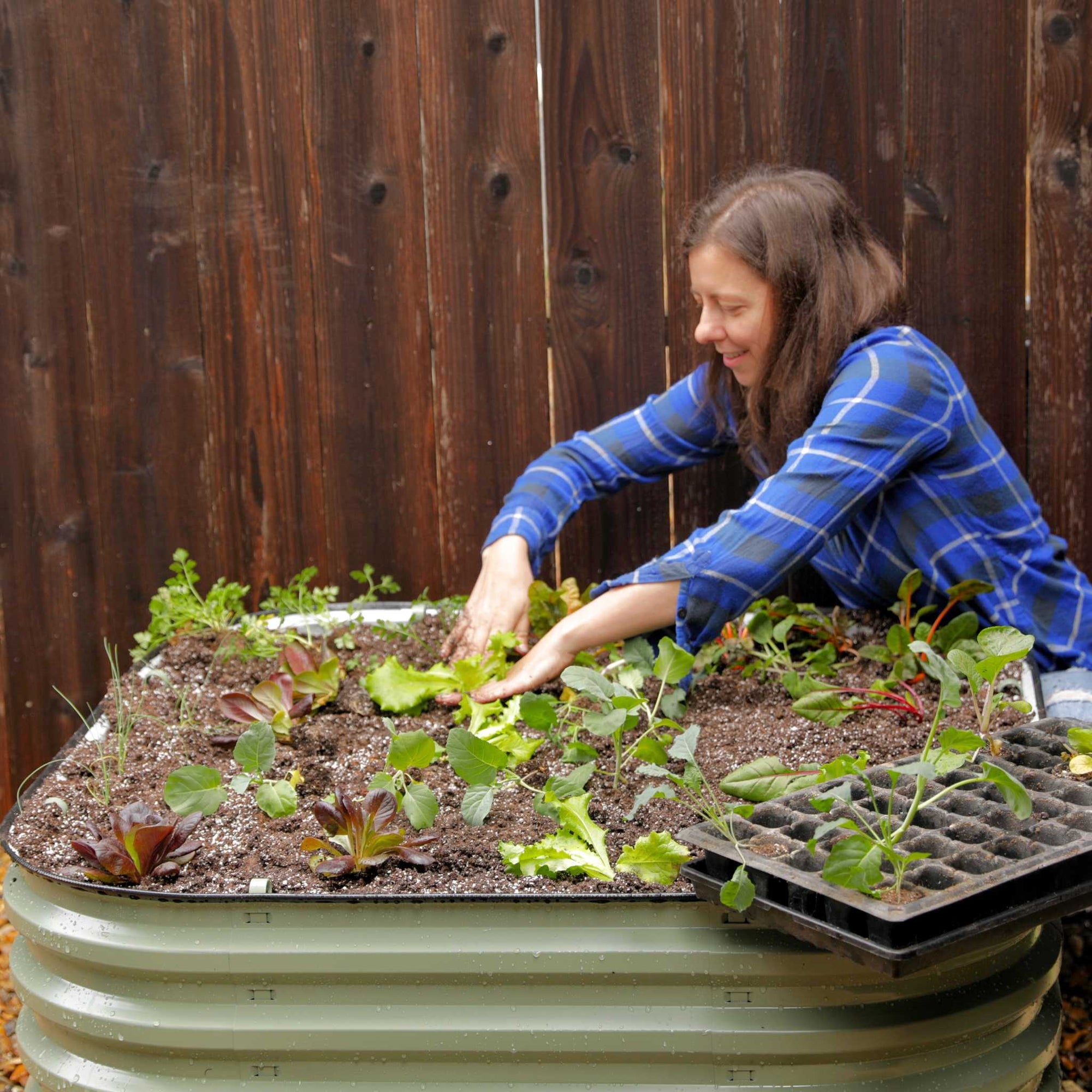 gardener planted into green 3' x 5' grorite bed