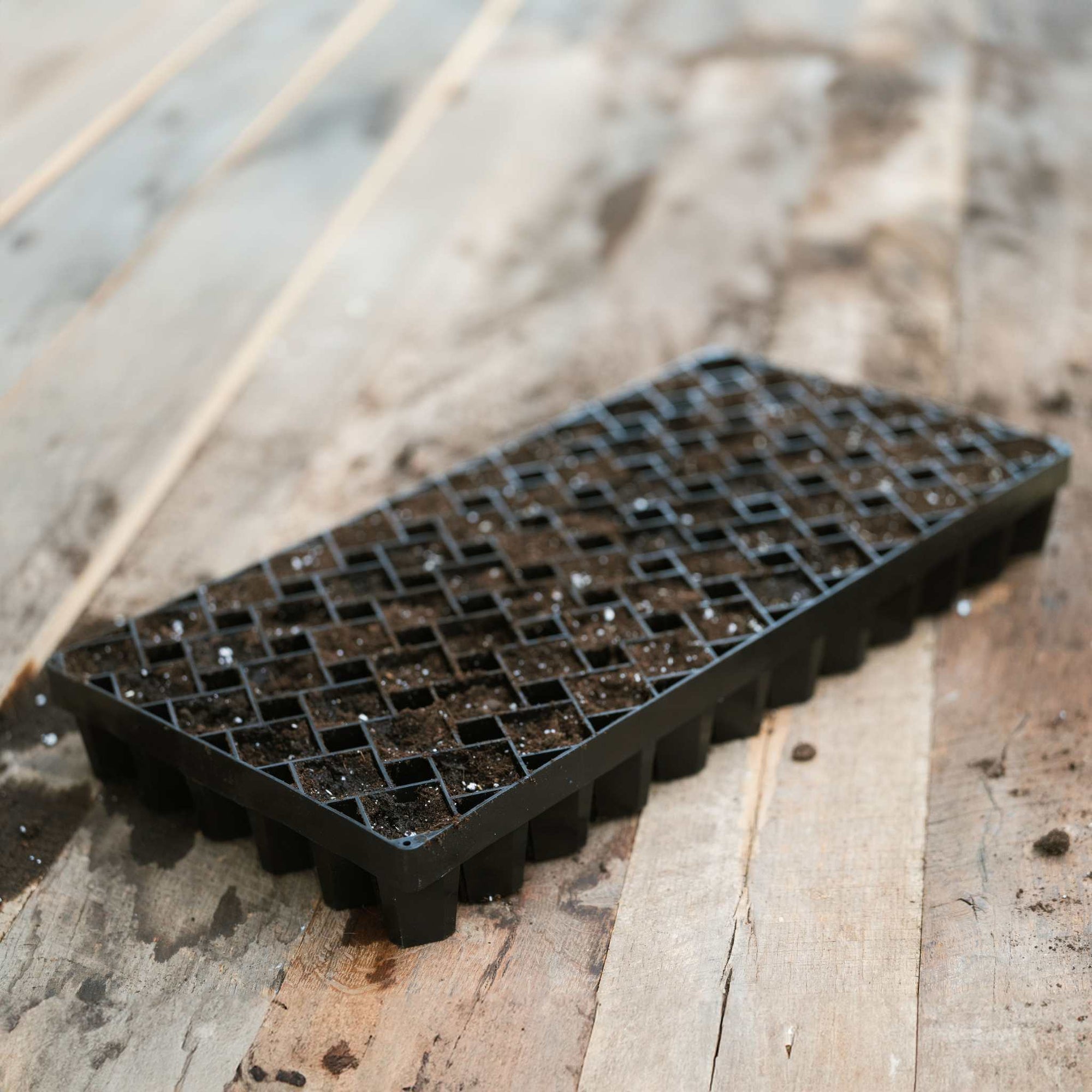 72 cell air pruning tray in black