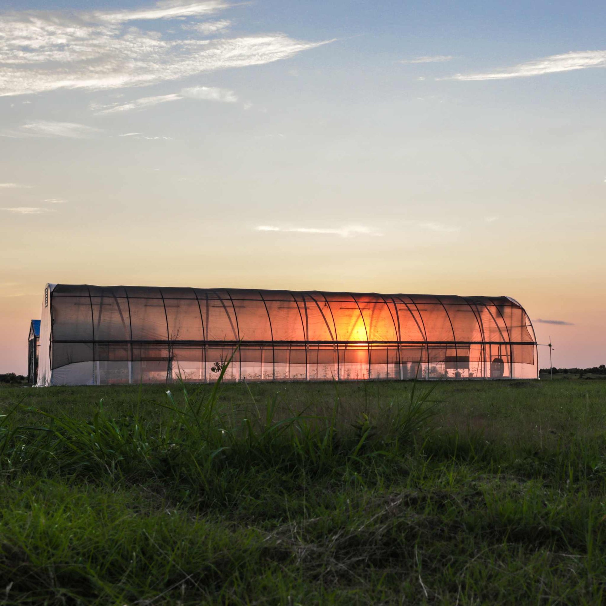 USA-made 20-foot wide all-metal hoop house with shade cloth and clear plastic, captured at sunset. The structure emphasizes sustainability, offering a perfect solution for extending the growing season in various climates.