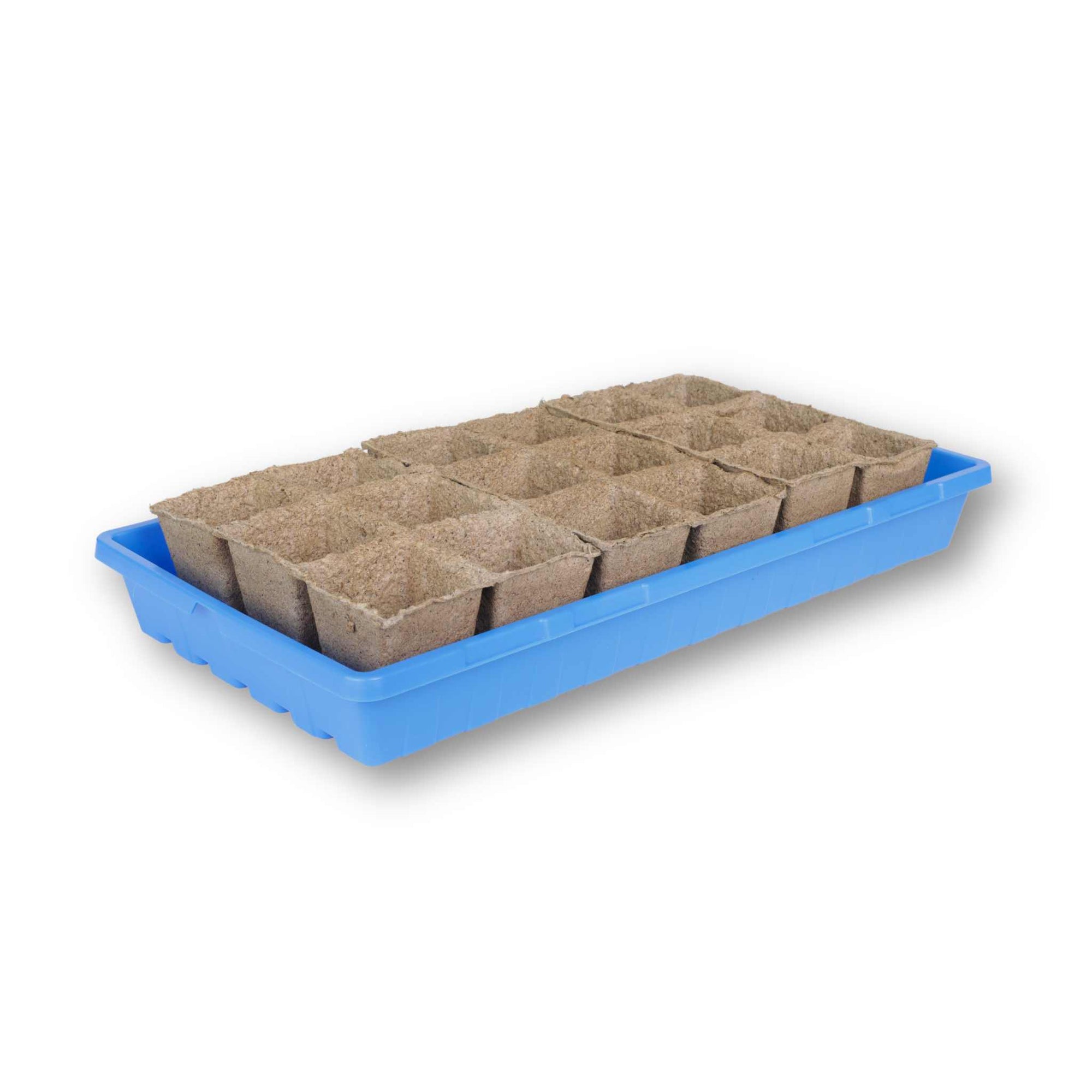 3 #3 6 cells in a blue 1020 deep tray