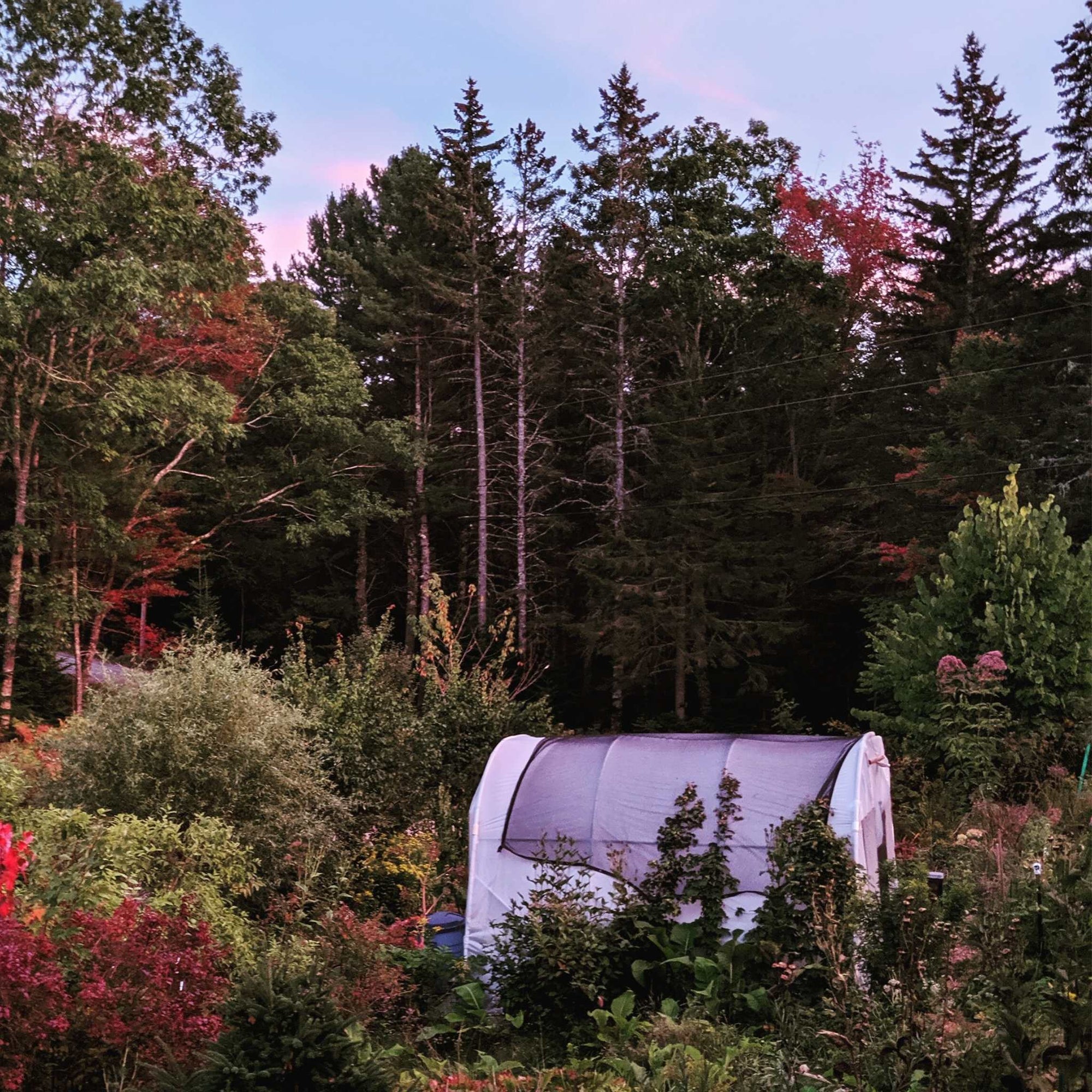 Solarig Installed on DIY greenhouse