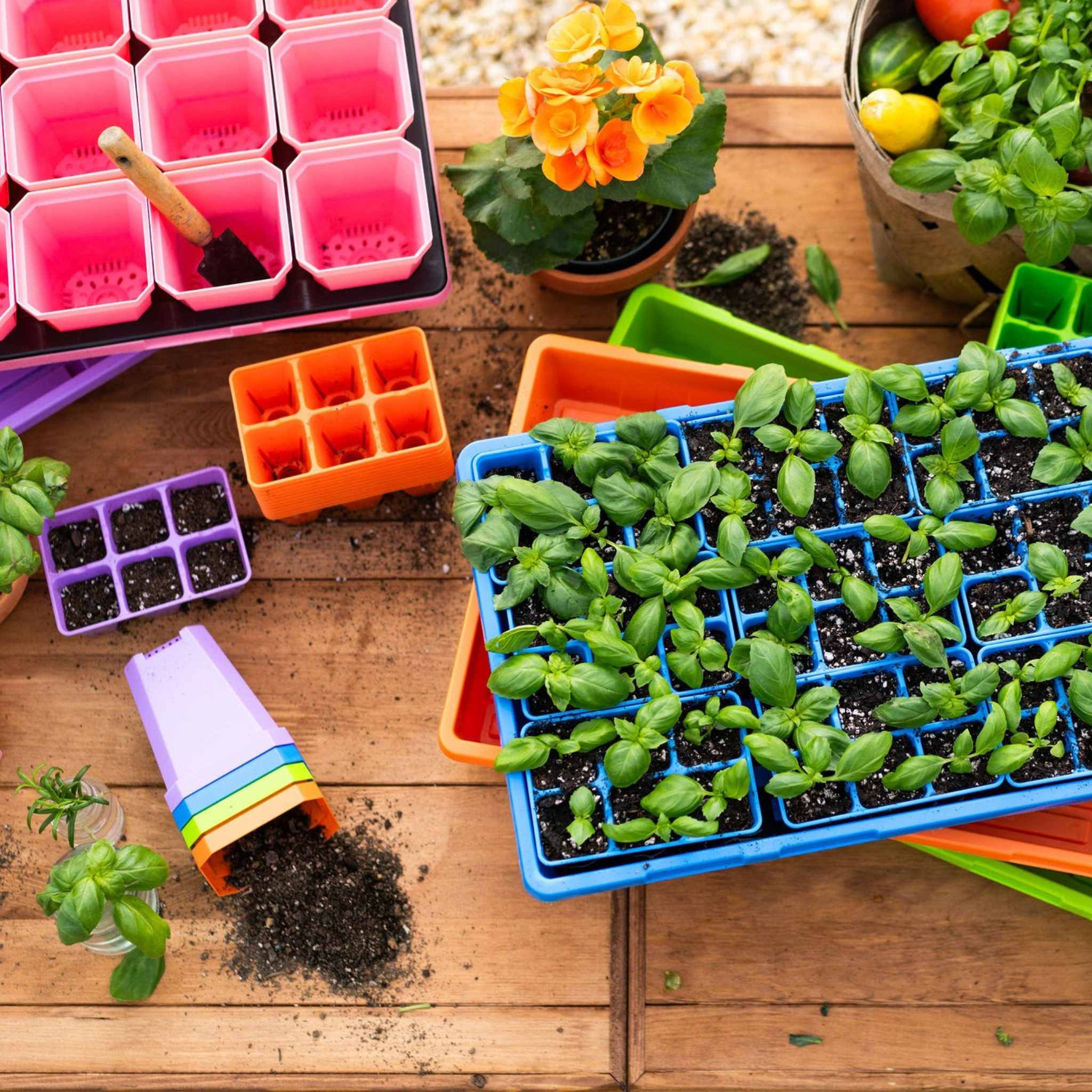 Air Pruning And Eco-Friendly Clear Plastic Garden Domes 