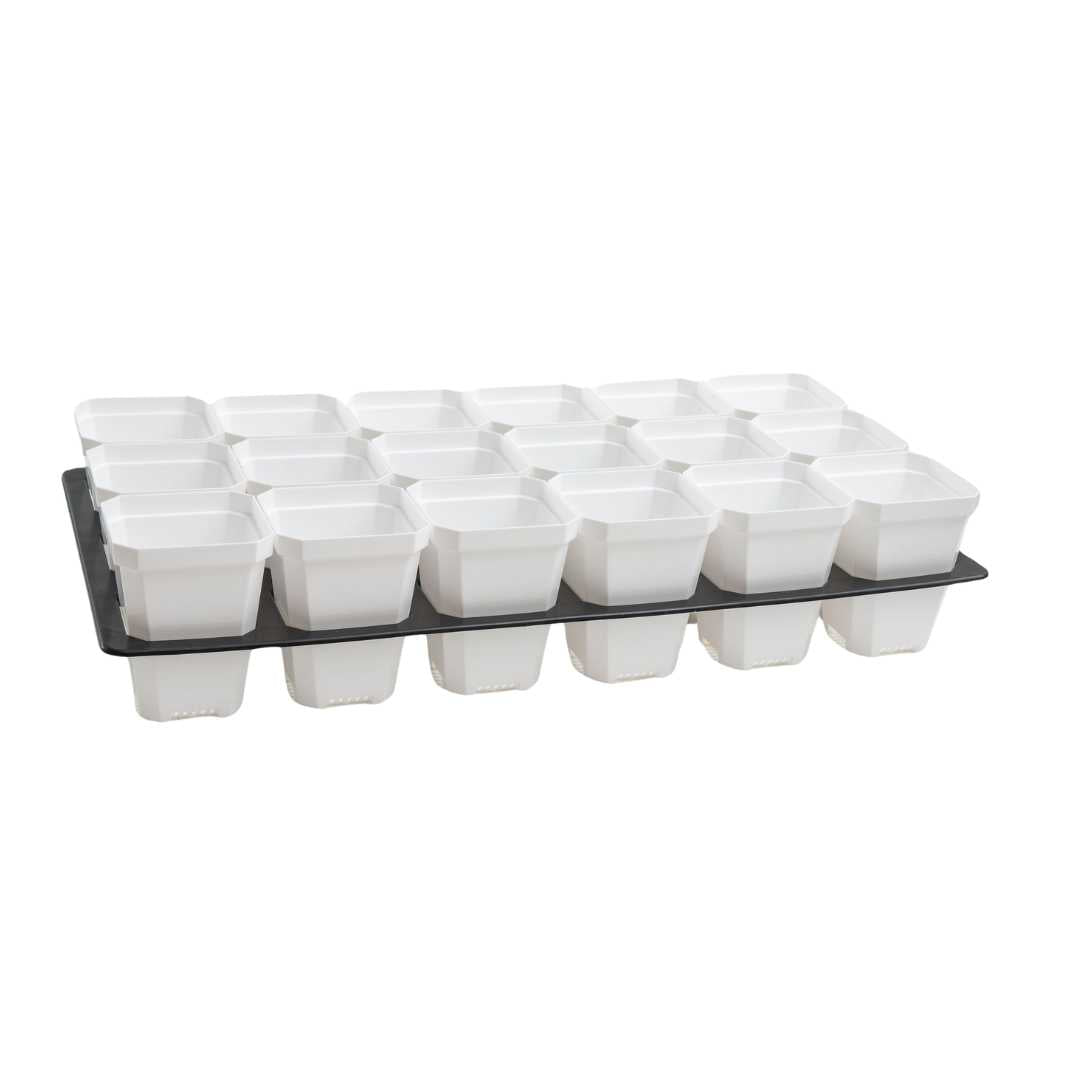 white 3.3" Pots with Black Insert