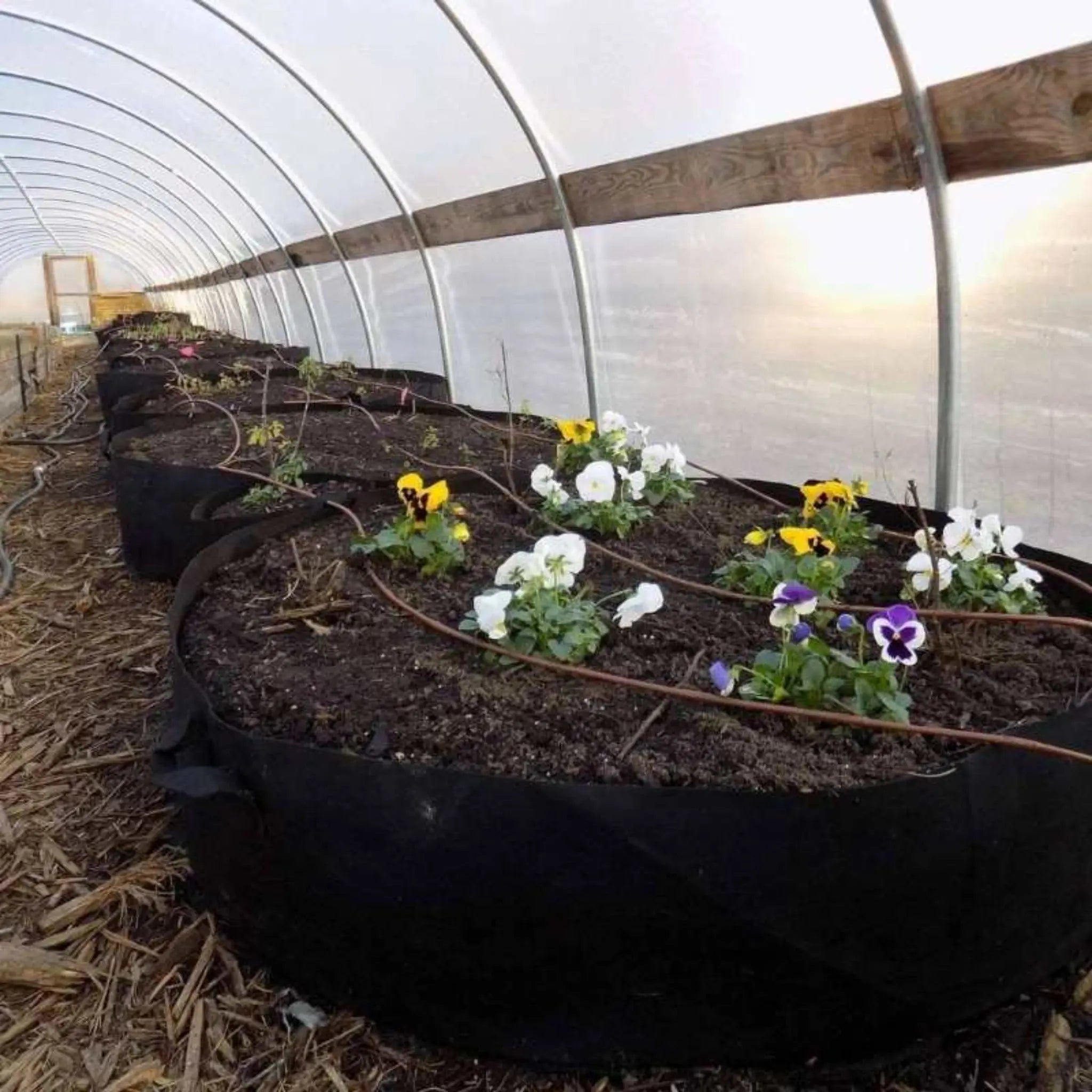1 2 3 gal Tall Plant Grow Bags Veg Potato Transplanting planting