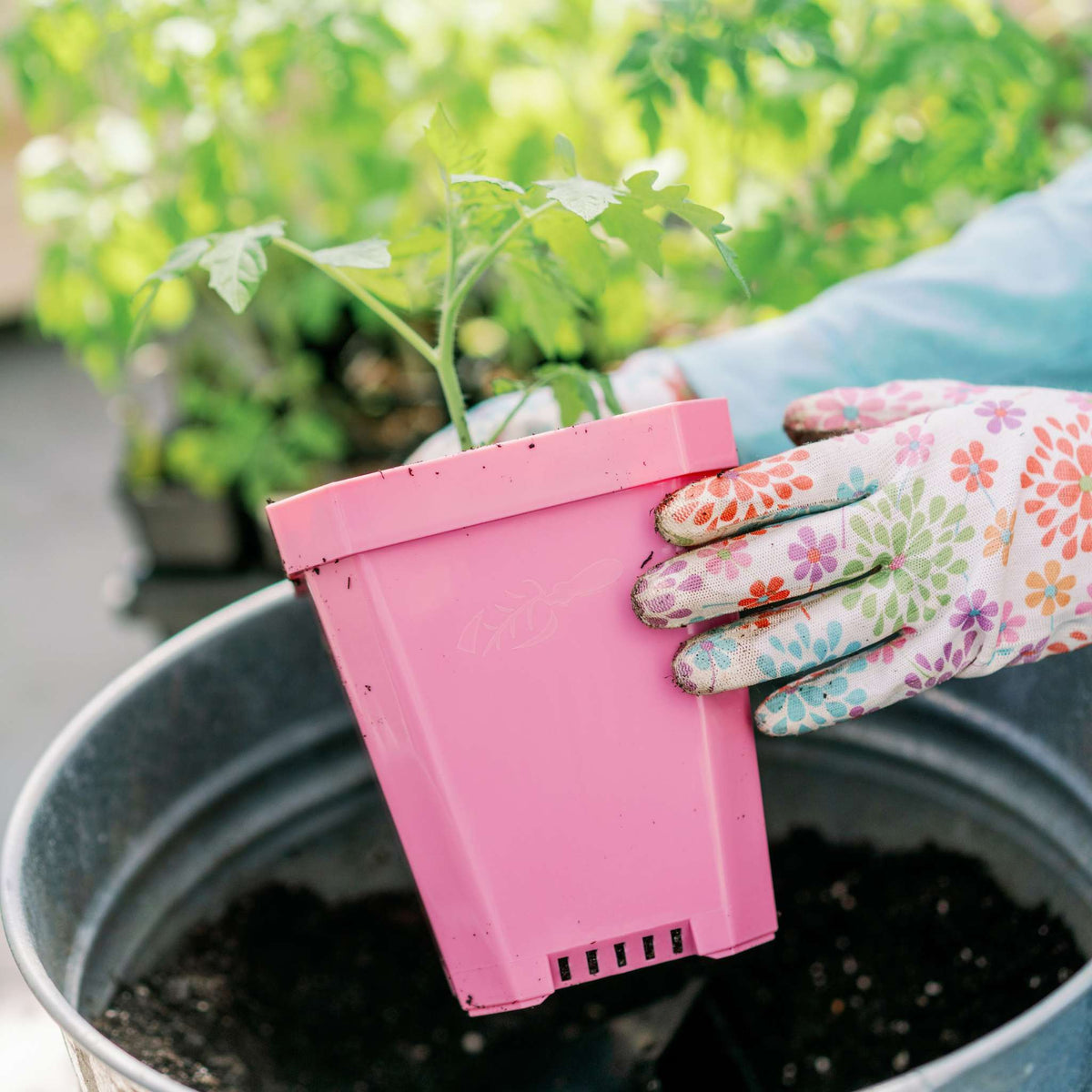 Recycled Seed Starting Containers for Gardening