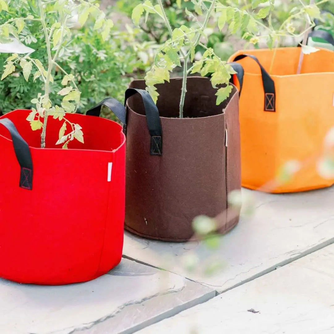 Grow Bags  Advice for Growing Plants in Fabric Containers - Bootstrap  Farmer