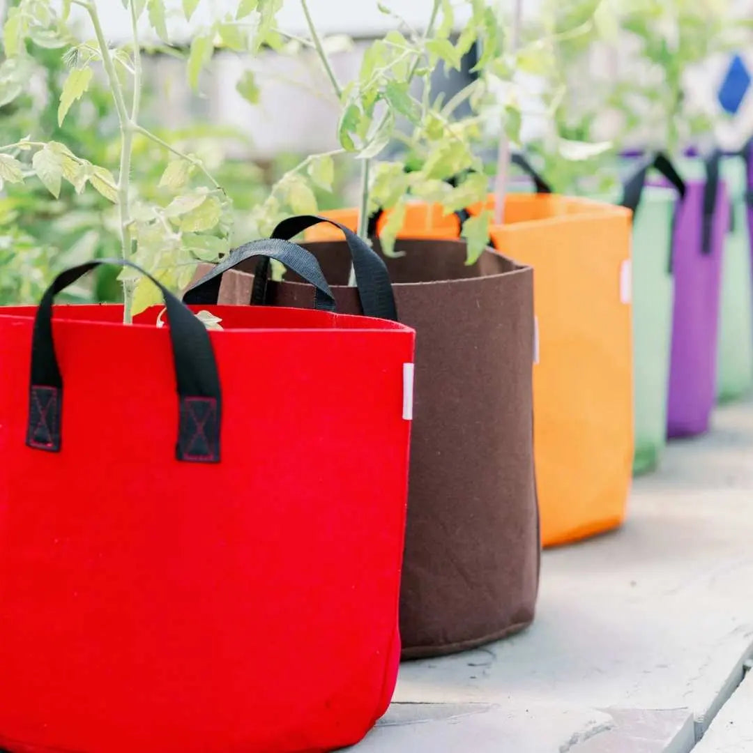 How to Make DIY Grow Bags with Old Canvas Tote Bags - Brightly
