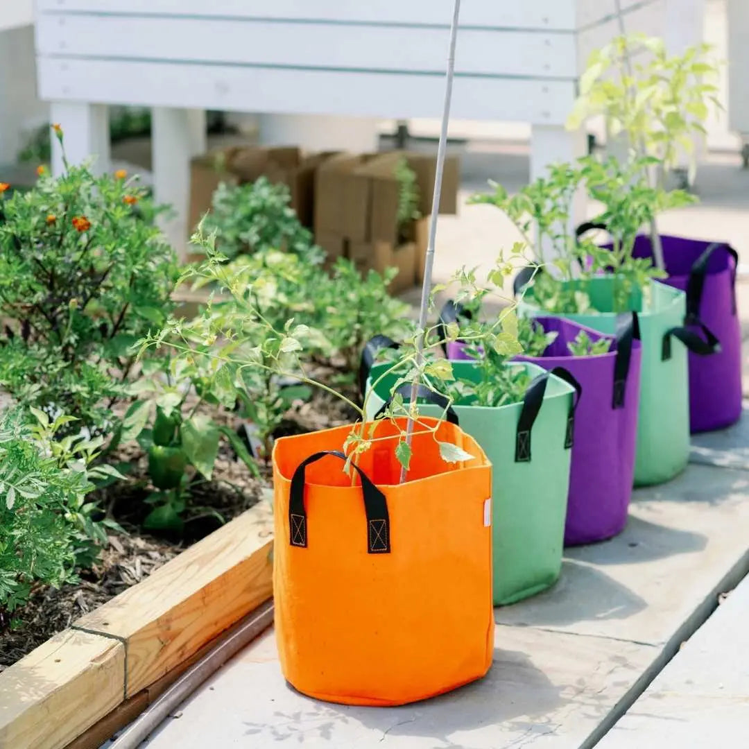 Grow Organic | Plastic Nursery Grow Bags (10 gal)