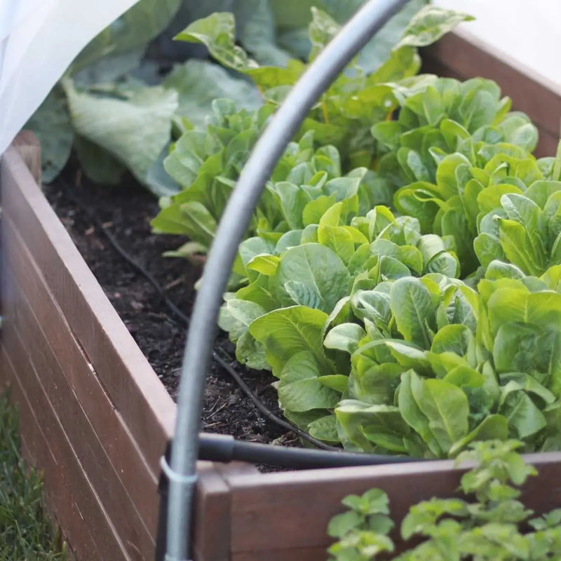 Watering - Raised Bed Drip Irrigation Kit - Bootstrap Farmer