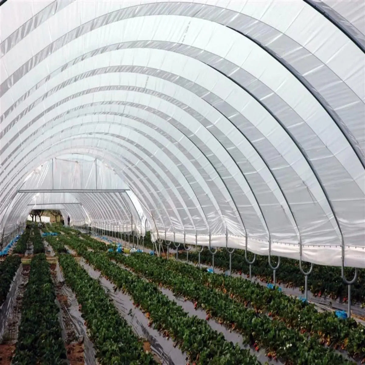 Greenhouse with woven plastic